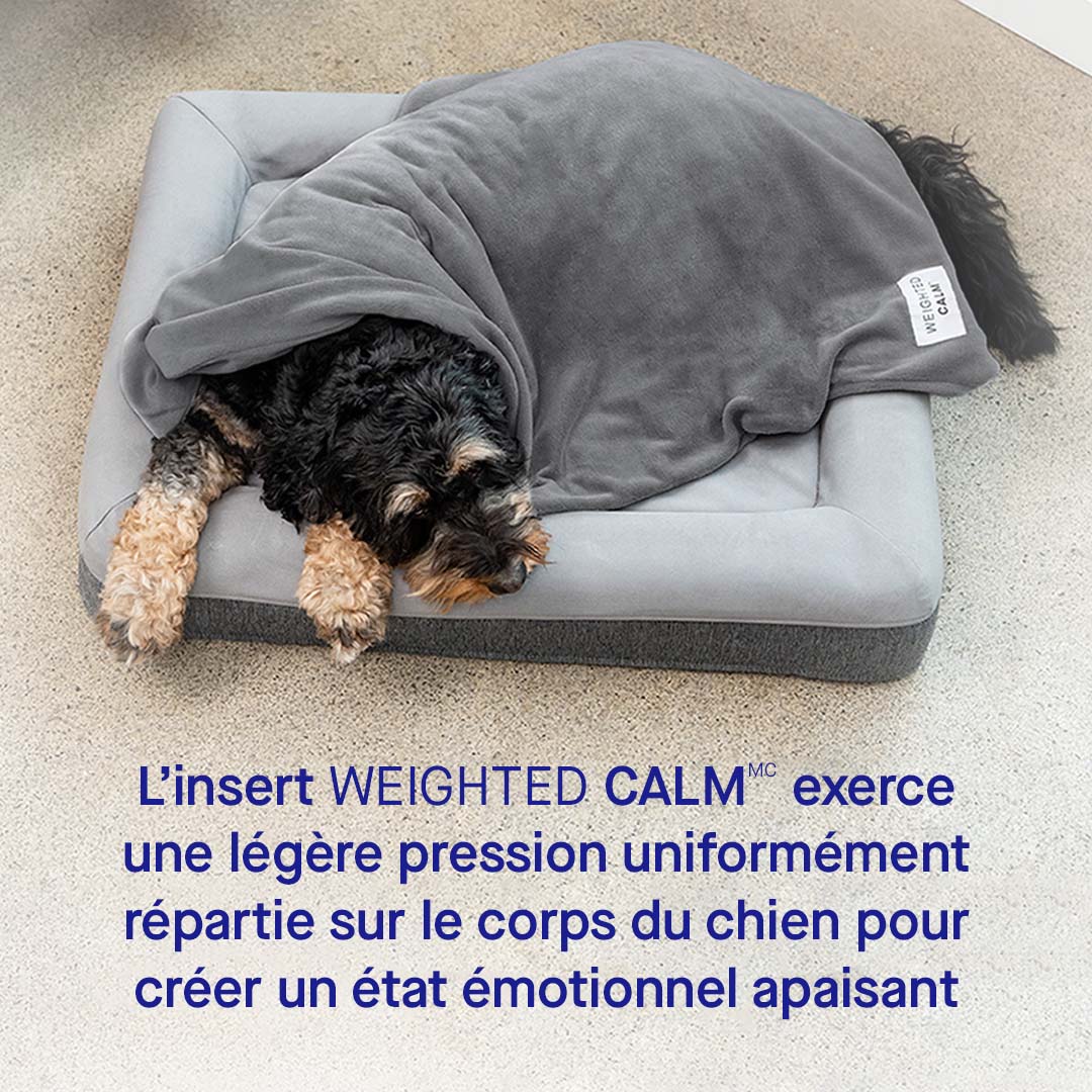 Weighted Calming Blanket