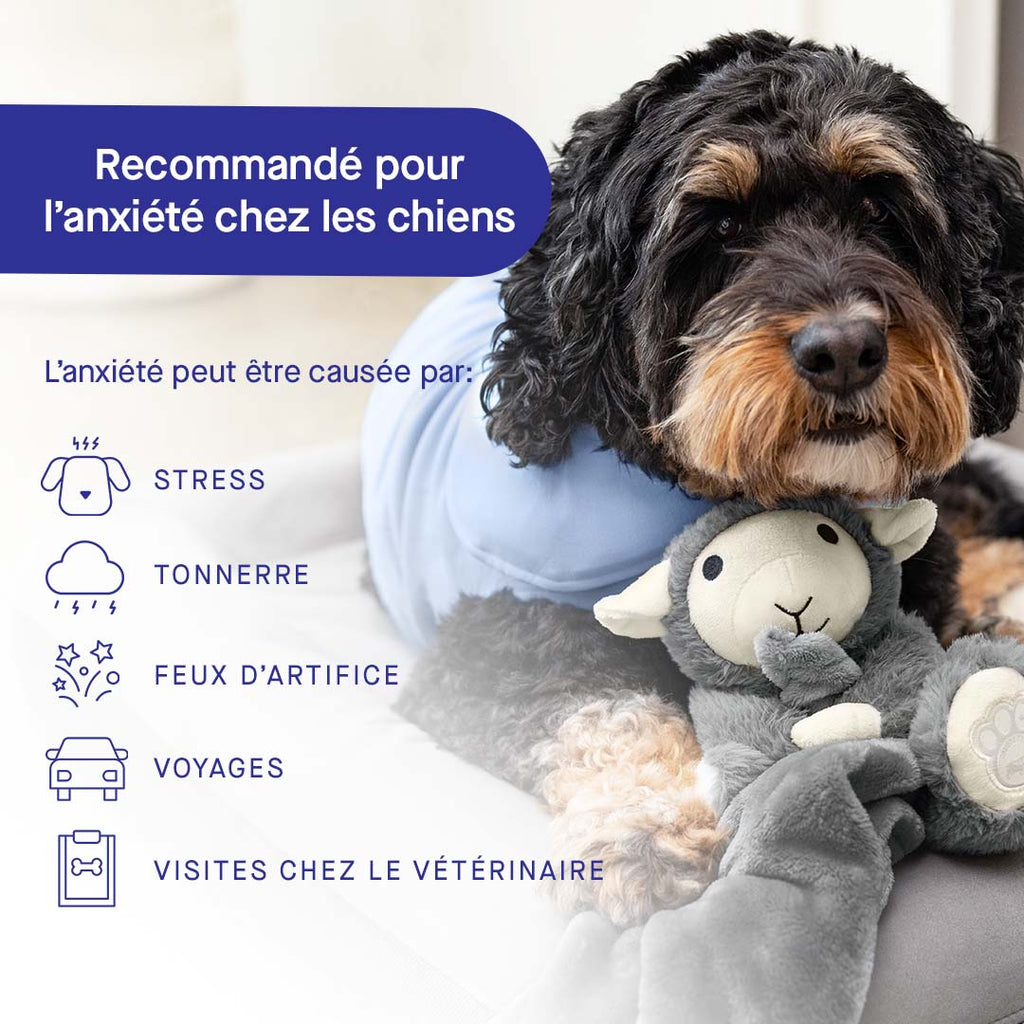 Weighted Calming Toy