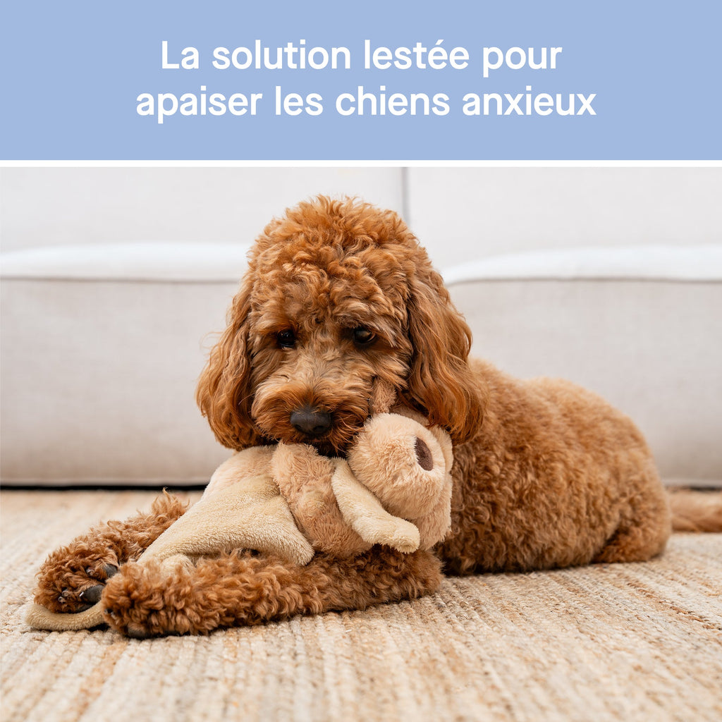 Weighted Calming Toy