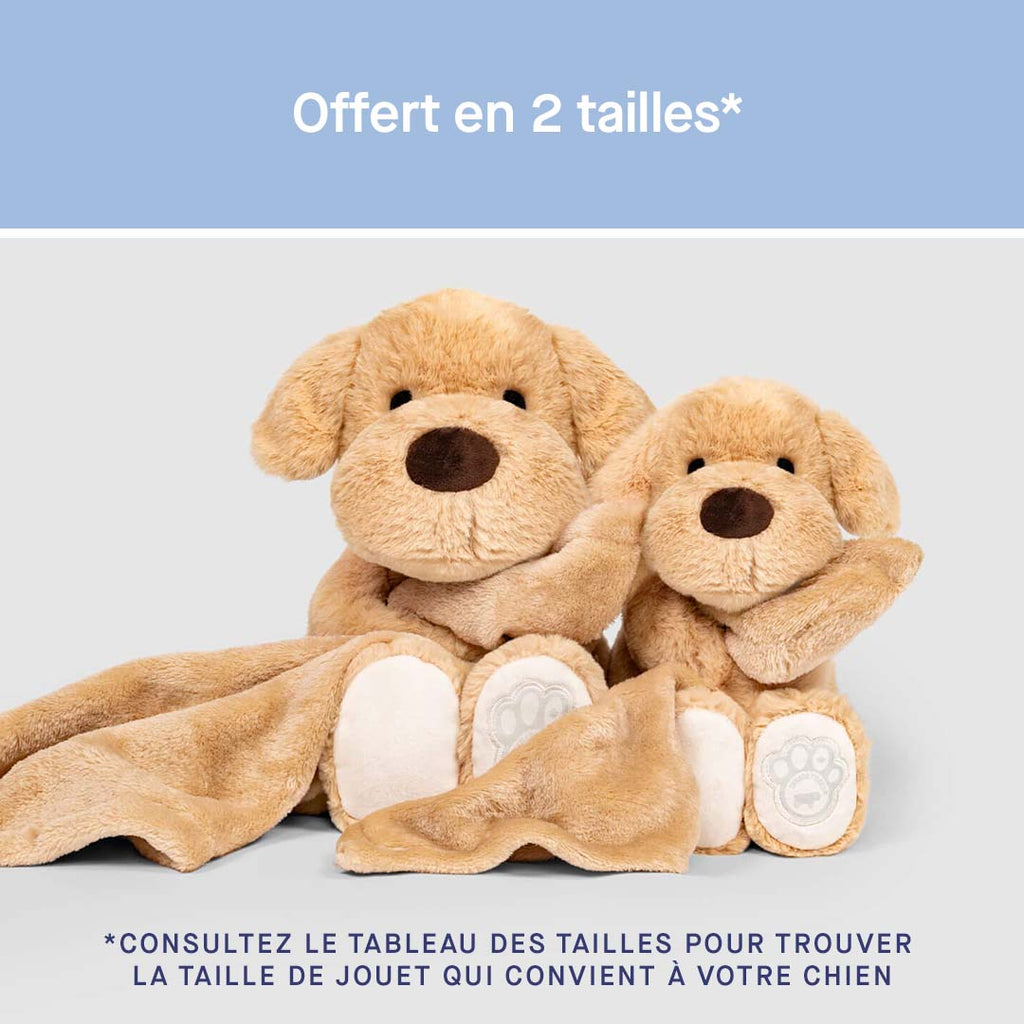 Weighted Calming Toy