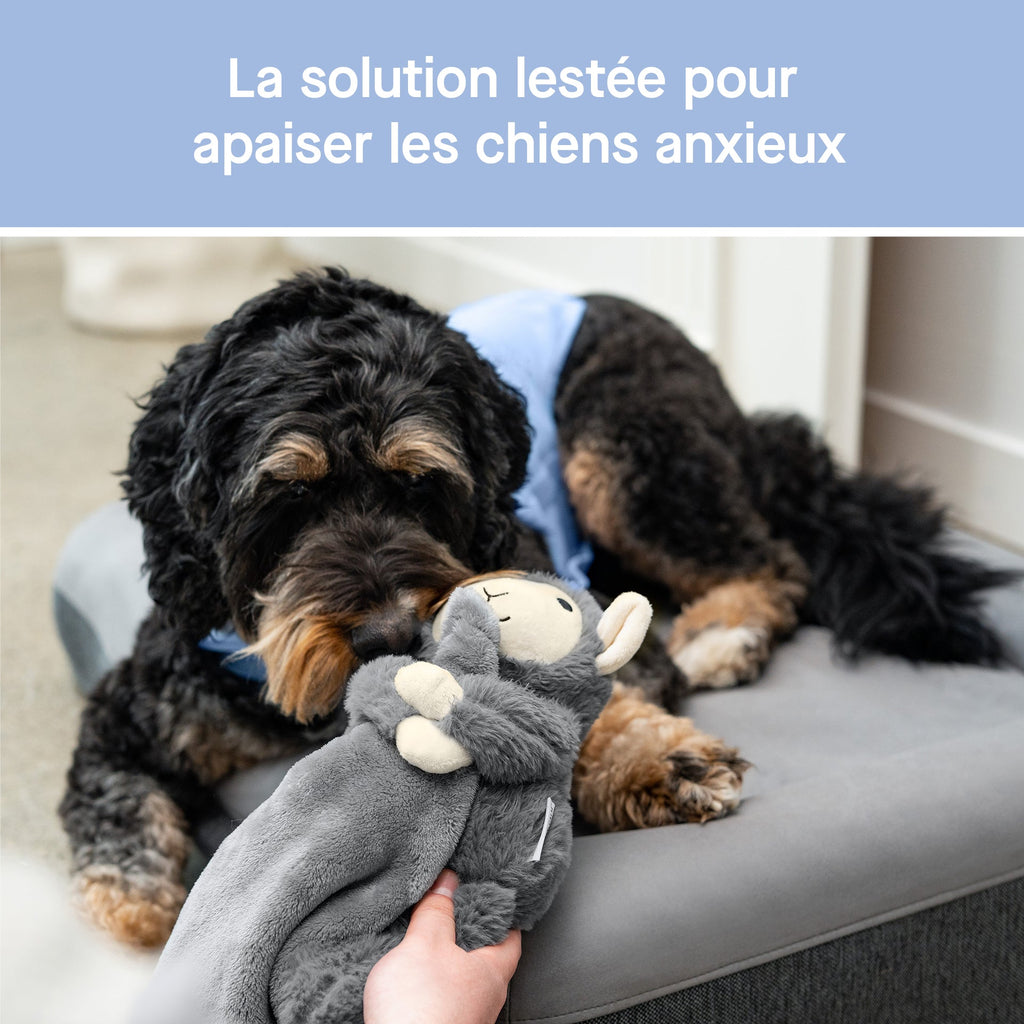 Weighted Calming Toy