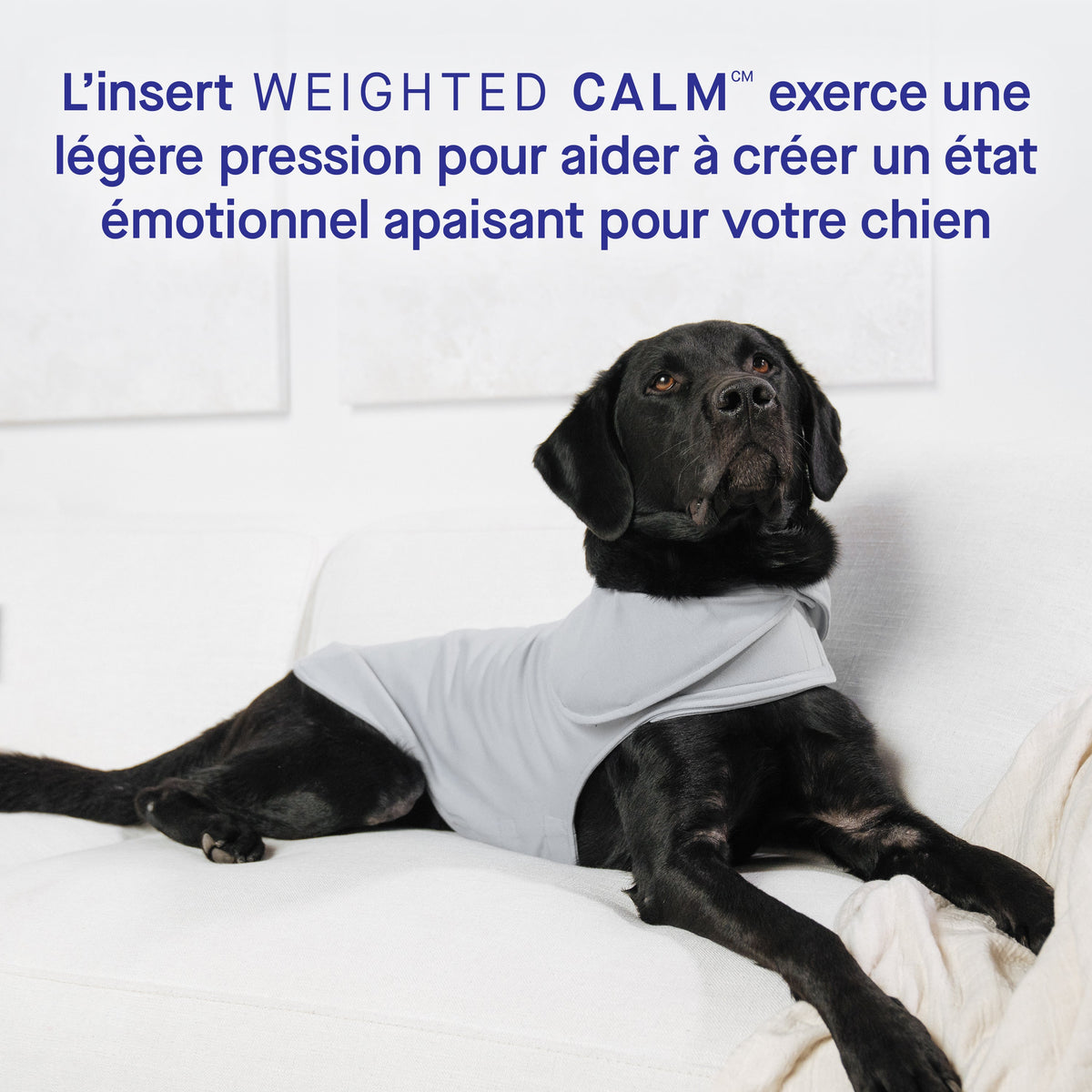 Weighted Calming Vest