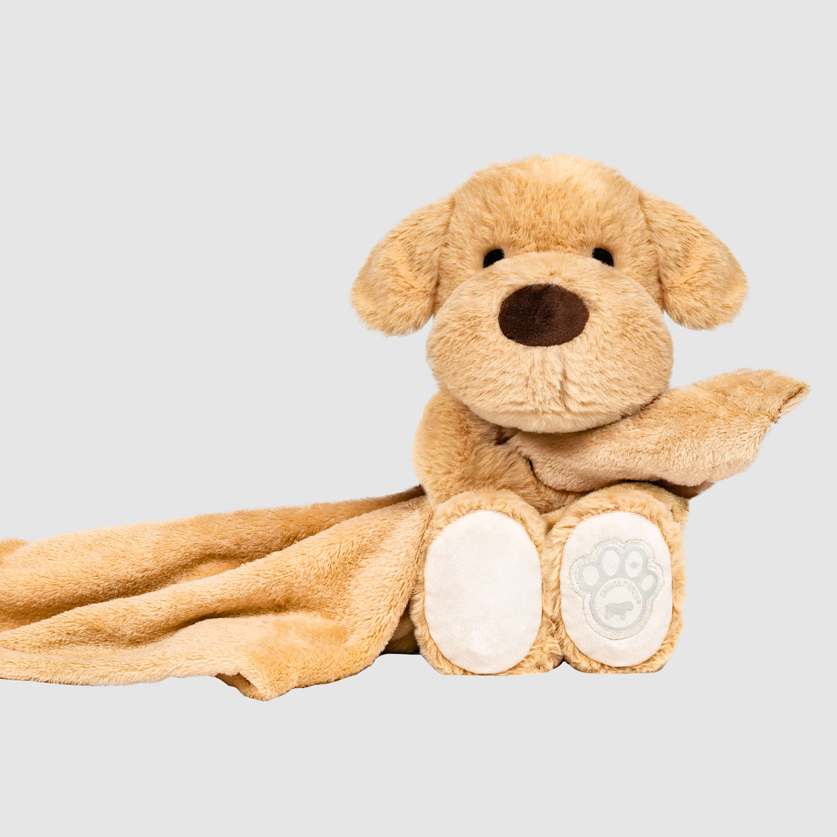 Weighted Calming Toy