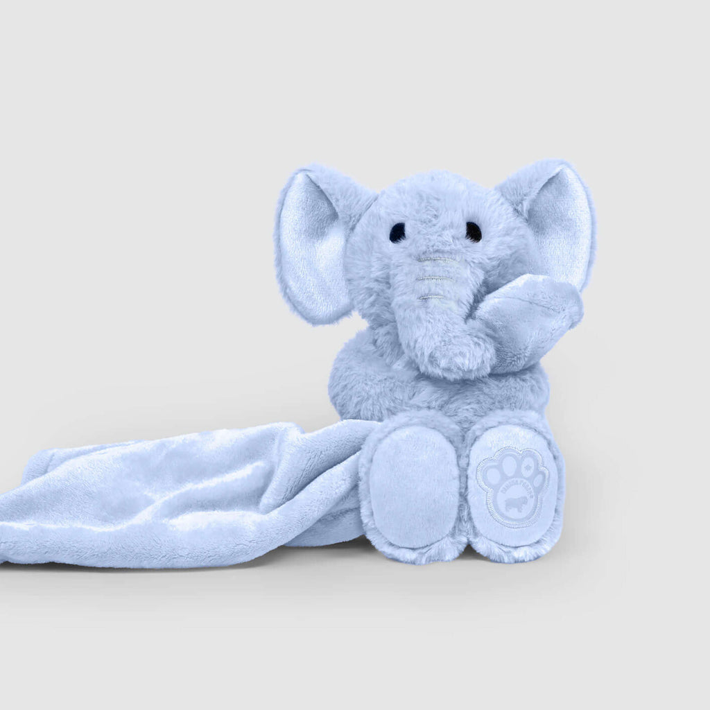 Weighted Calming Toy