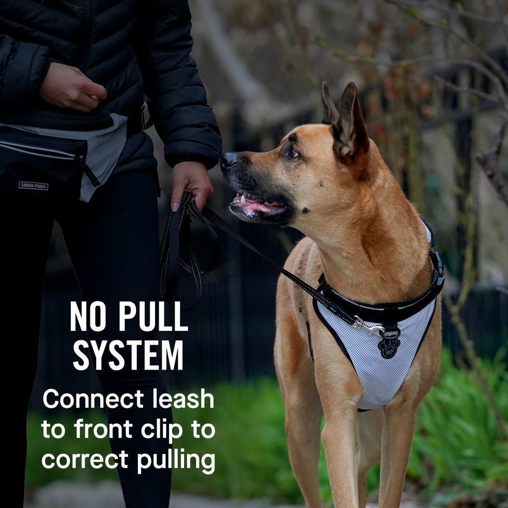 The Everything Harness Mesh Series