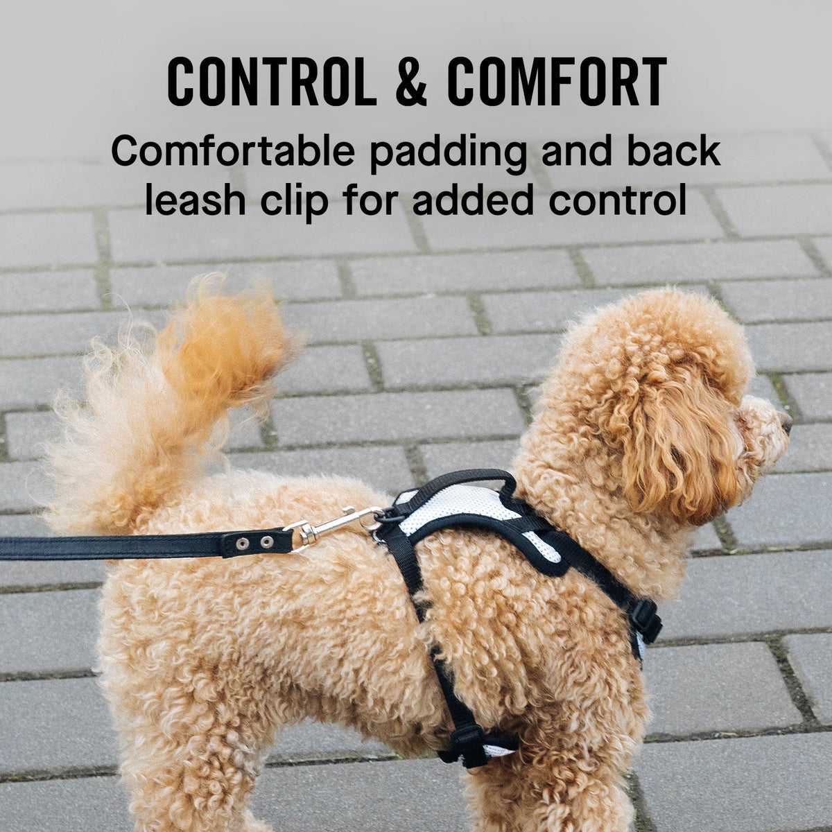 The Everything Harness Mesh Series
