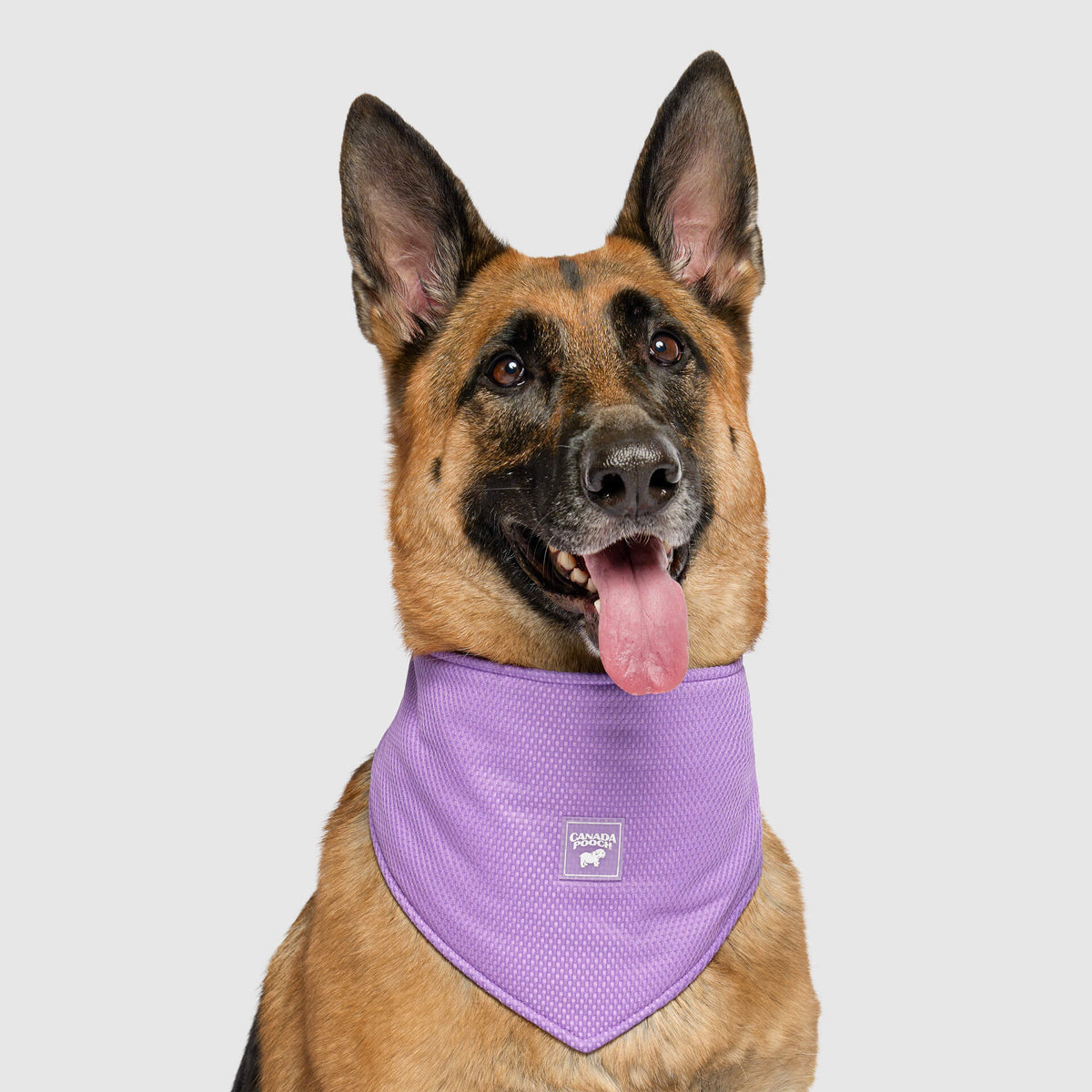 Cooling Bandana Wet Reveal