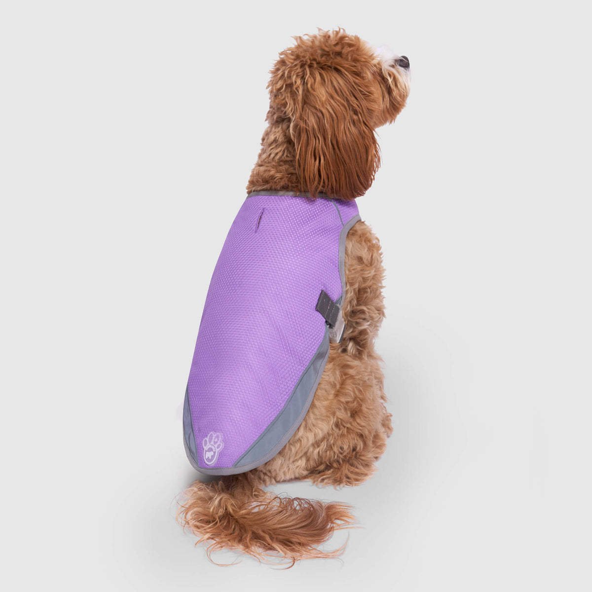 Chill Seeker Cooling Vest Wet Reveal