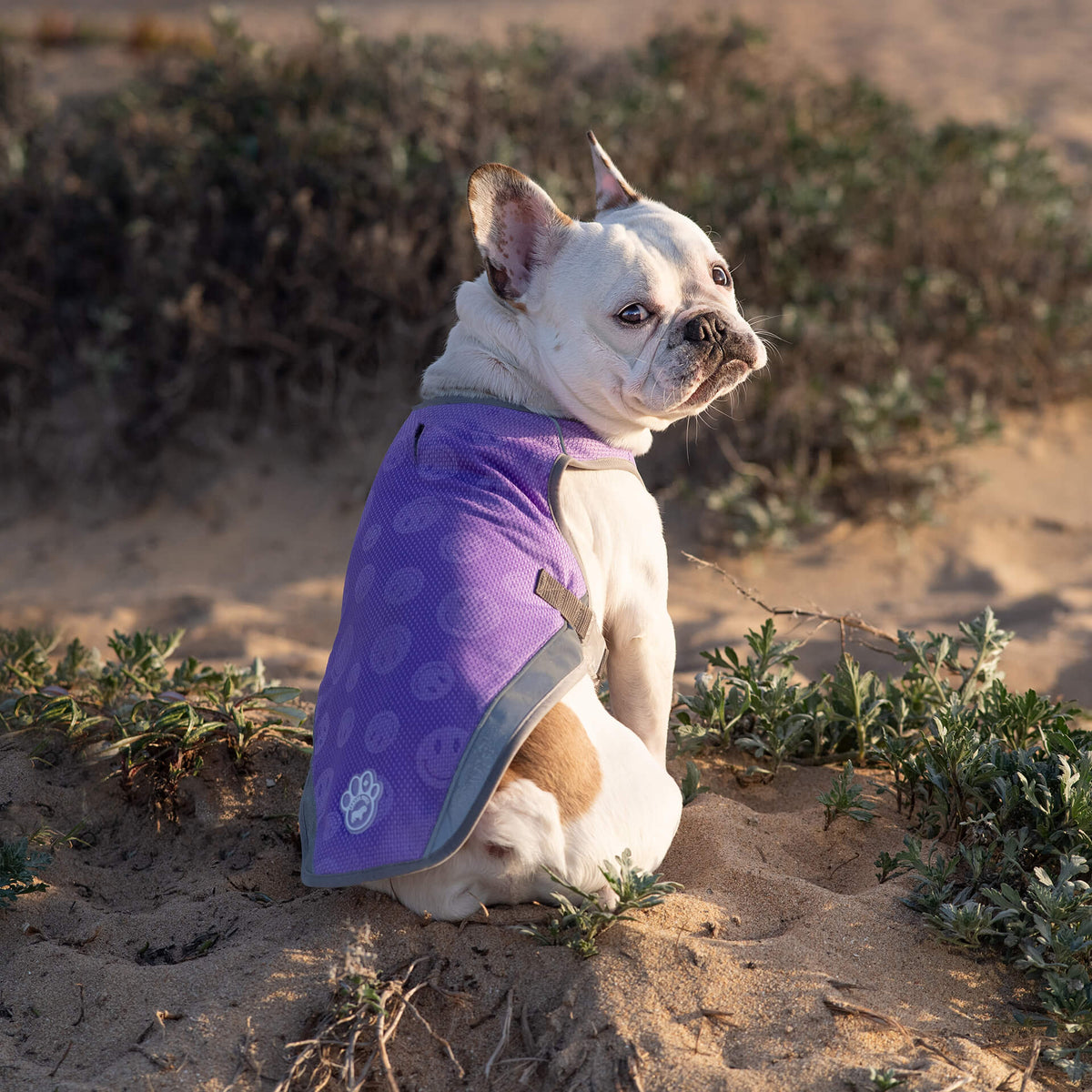 Chill Seeker Cooling Vest Wet Reveal