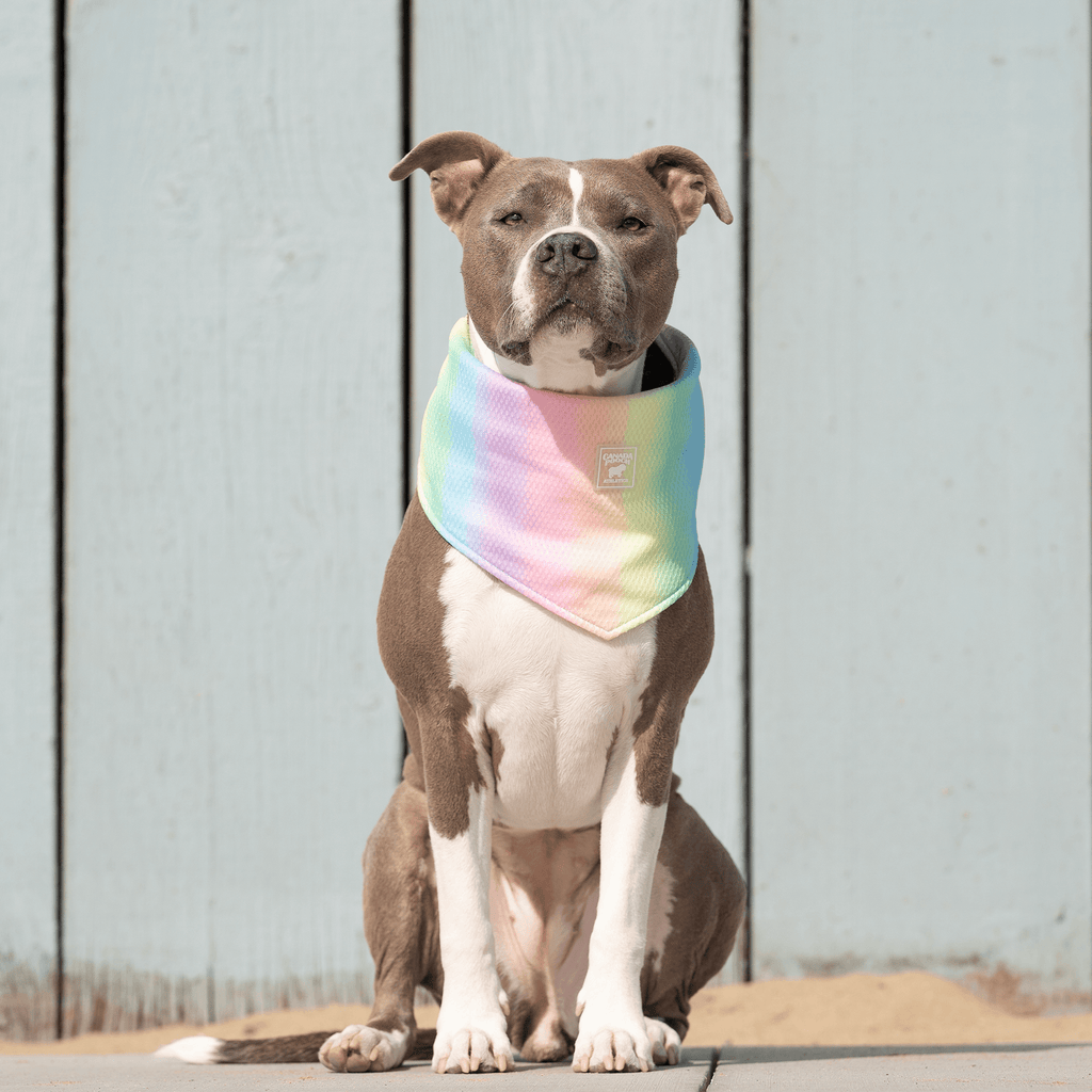 Cooling Bandana