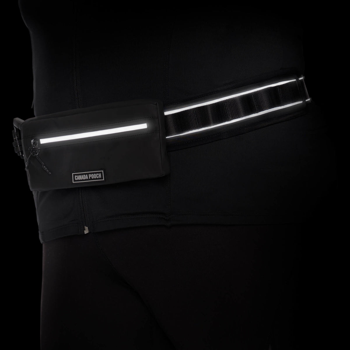 Handsfree Dog Walking Belt