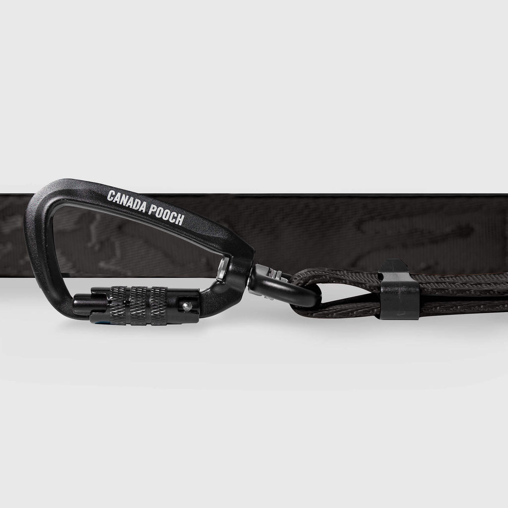 Utility Leash