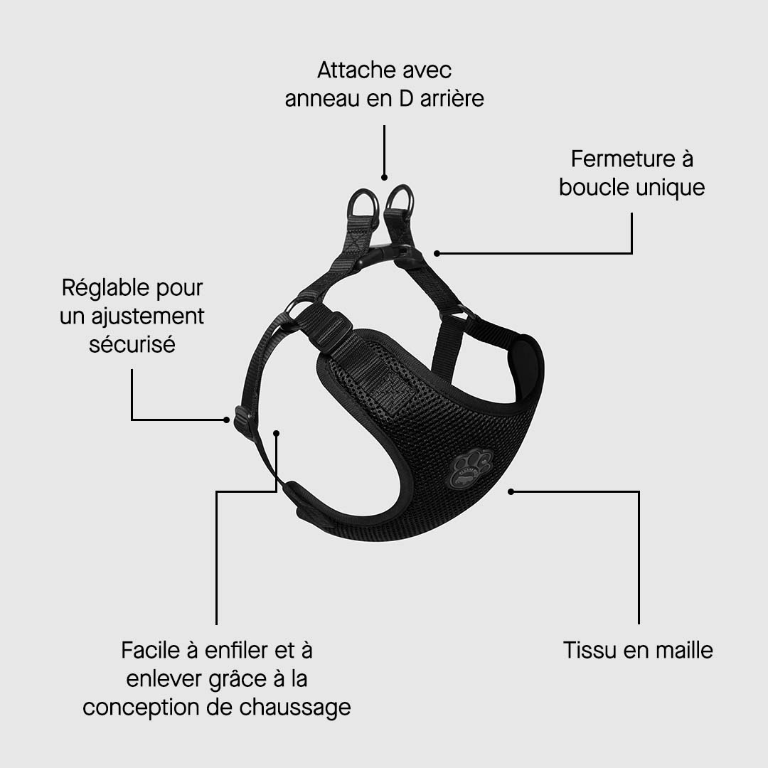 Easy-On Step-In Harness