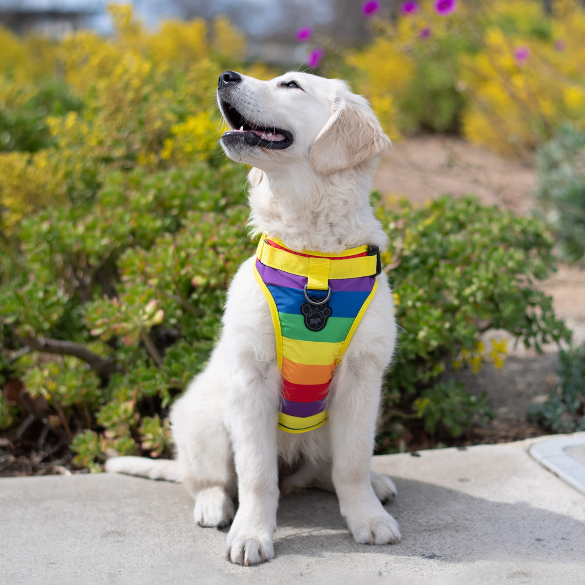 The Everything Harness Water-Resistant Series