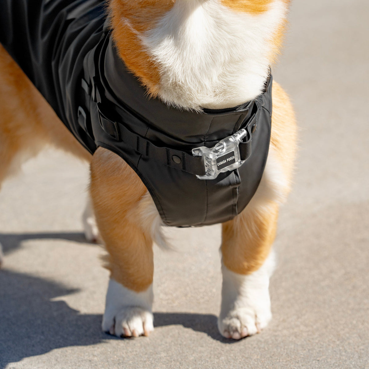 Harness Raincoat