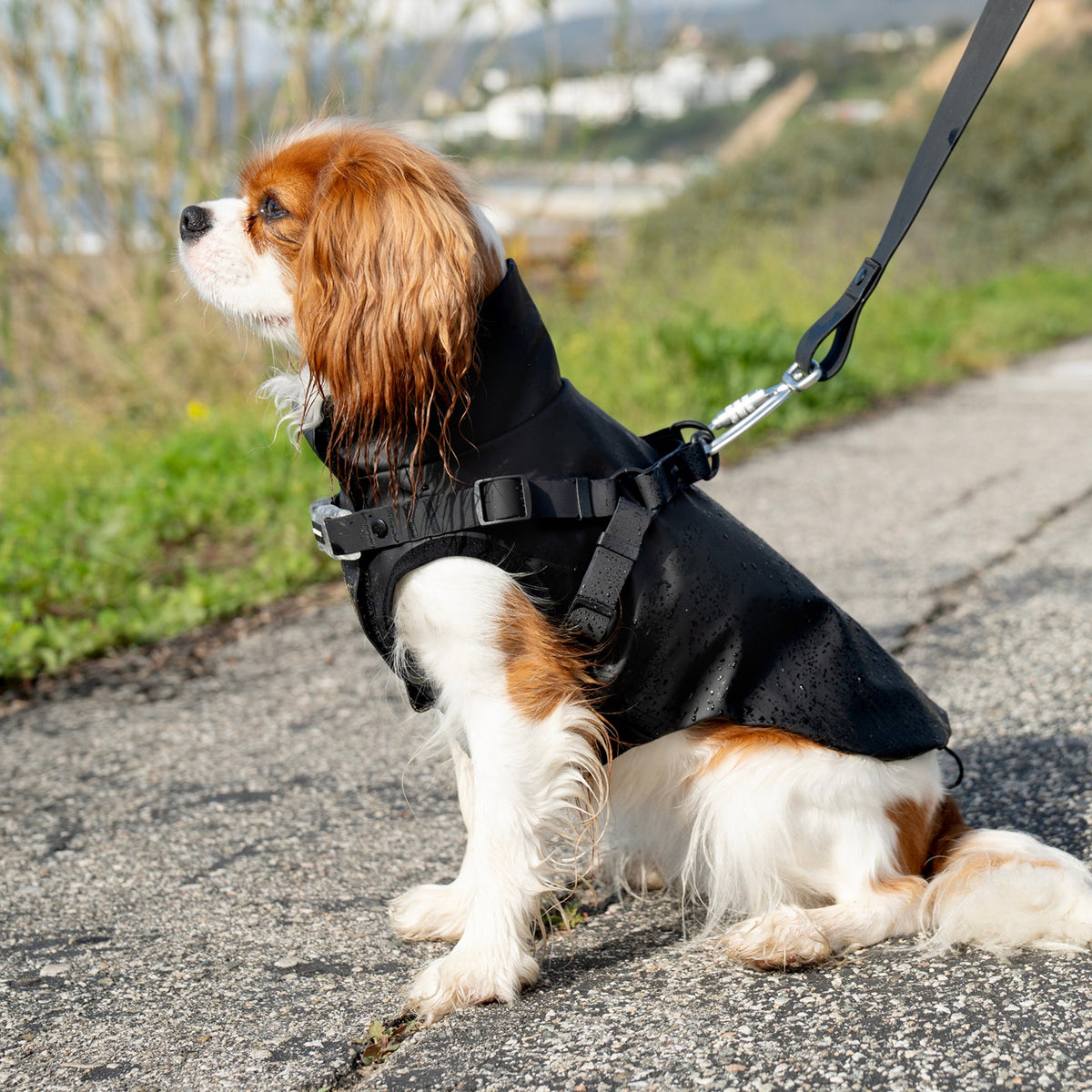 Harness Raincoat