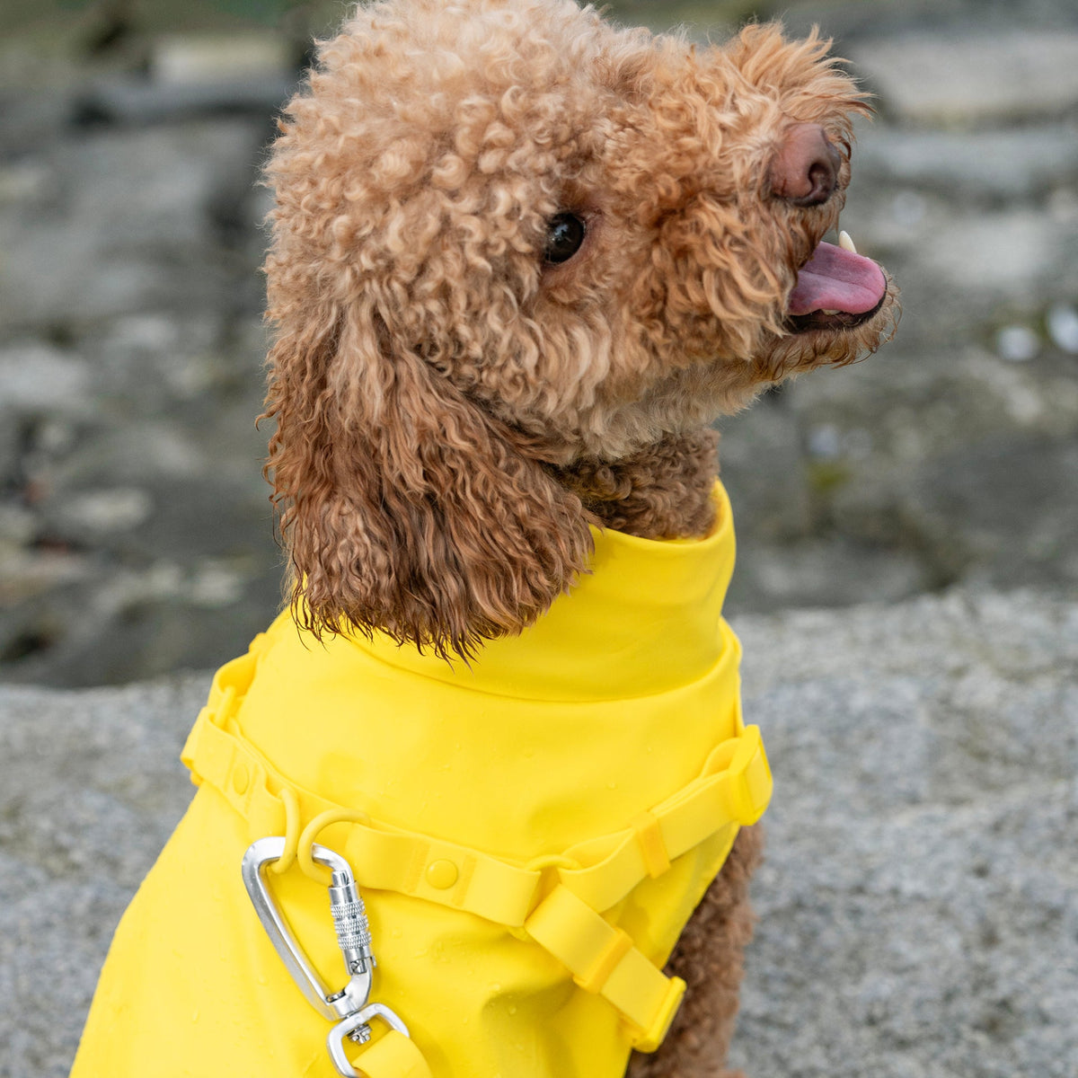 Harness Raincoat