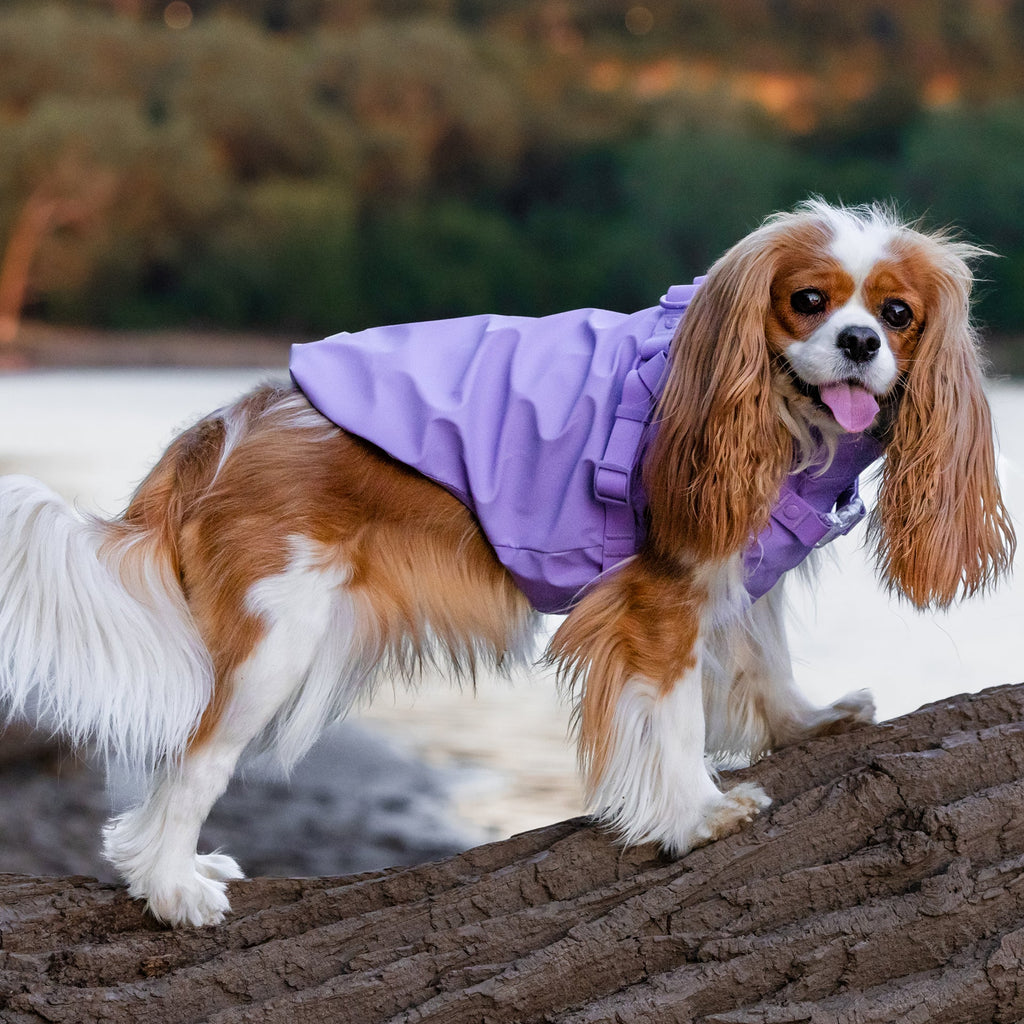 Harness Raincoat