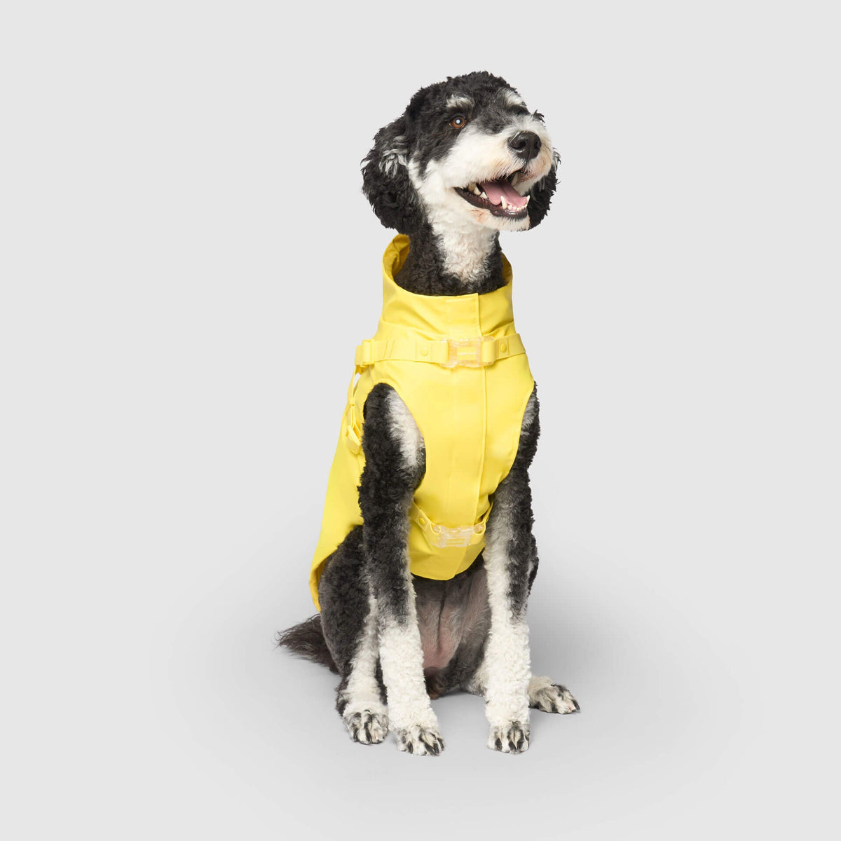 Harness Raincoat