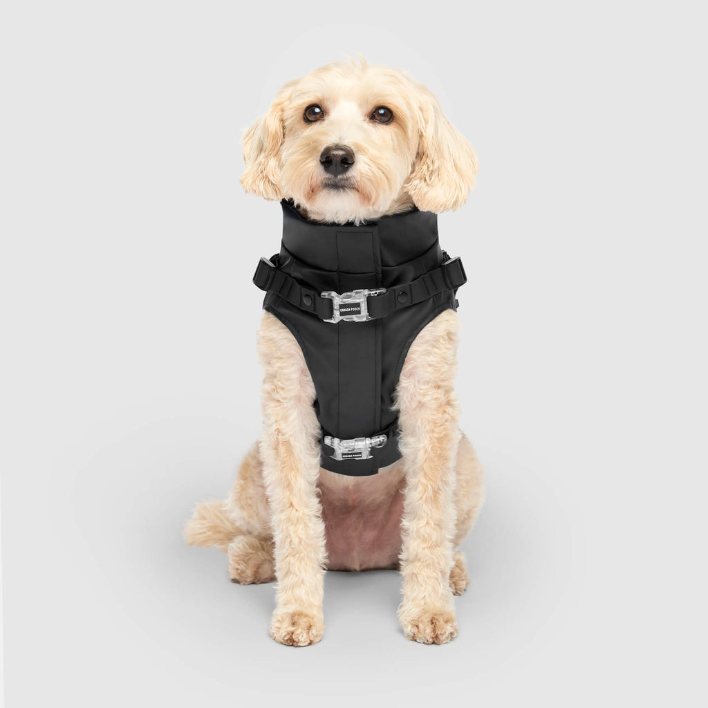 Harness Raincoat