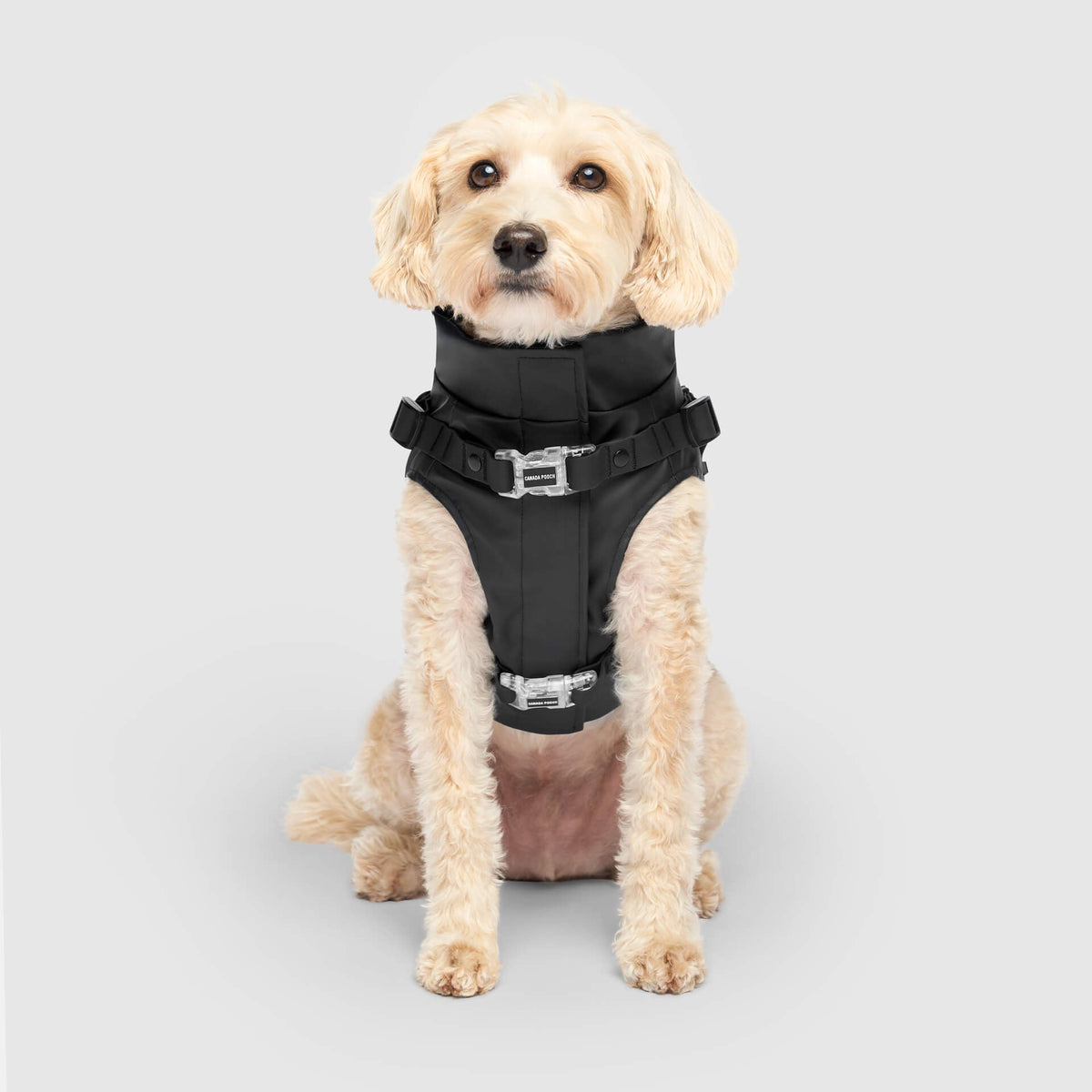 Harness Raincoat