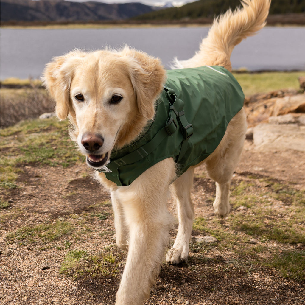 Harness Raincoat