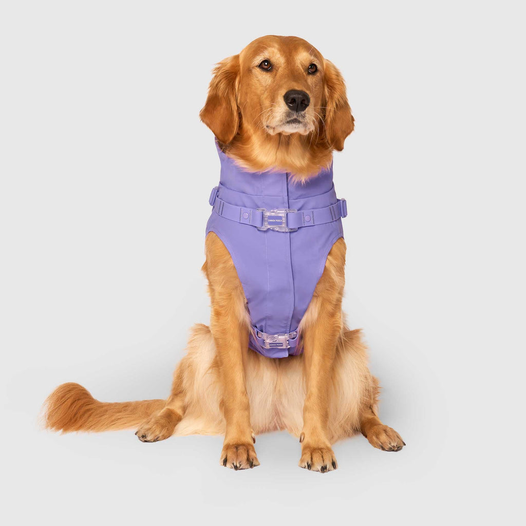 Harness Raincoat