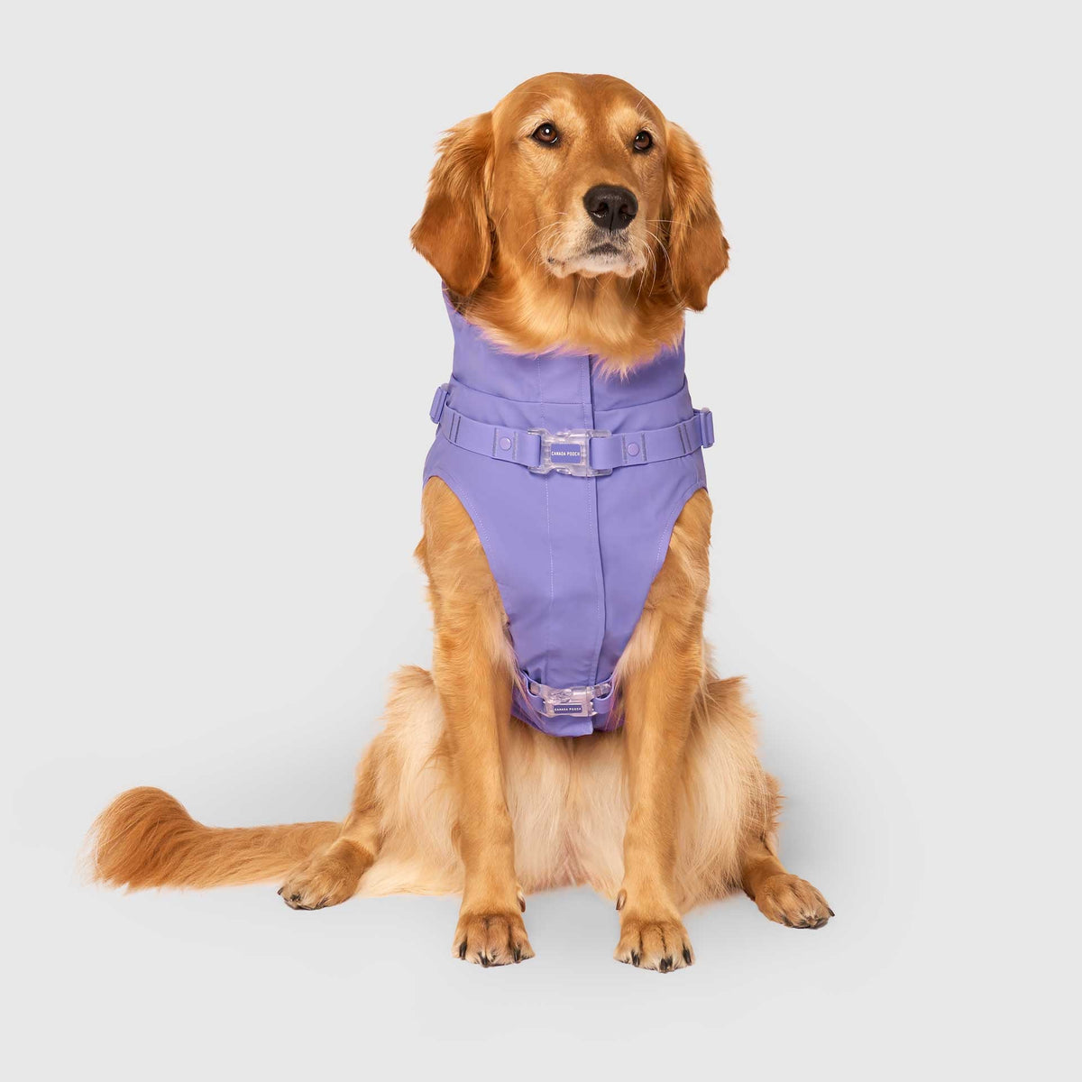 Harness Raincoat