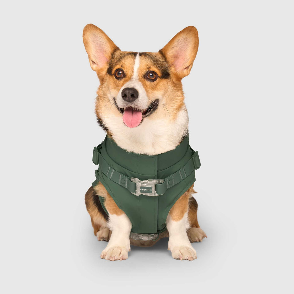 Harness Raincoat