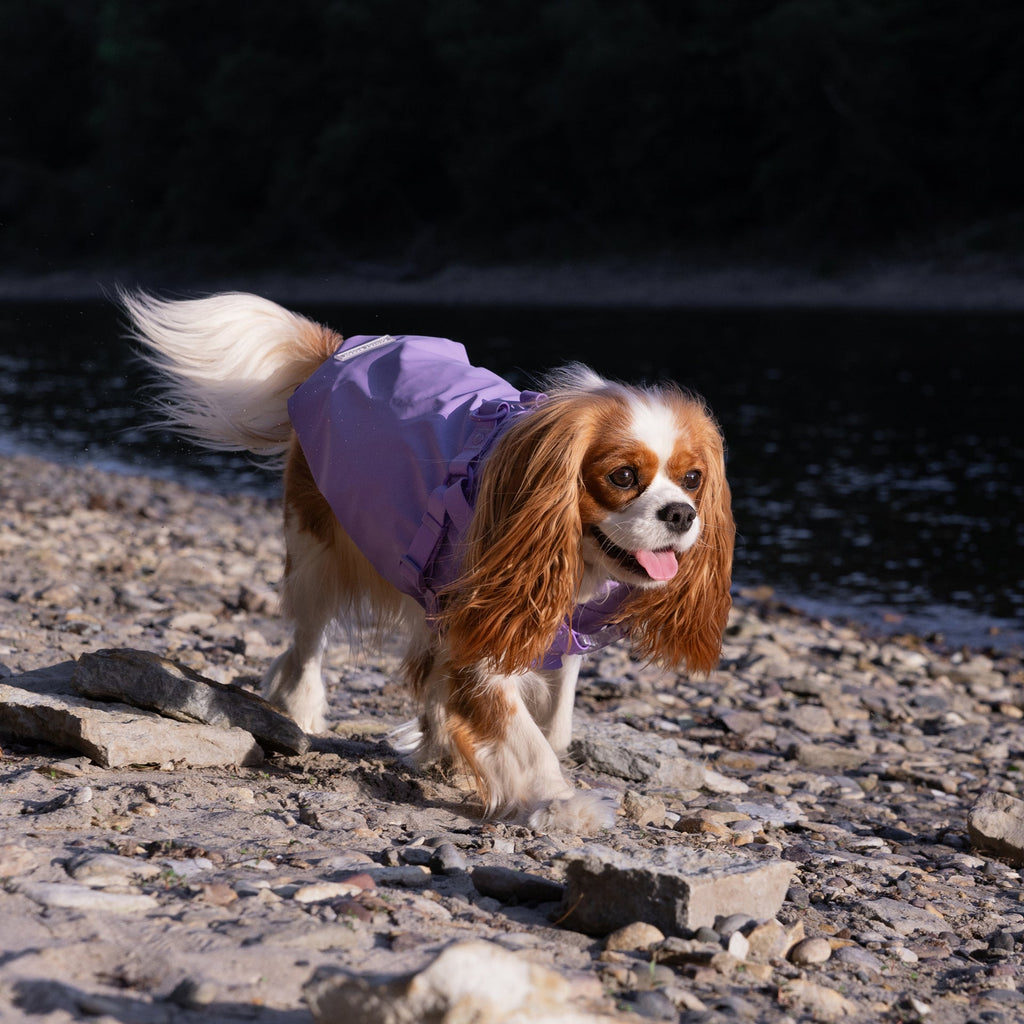 Harness Raincoat