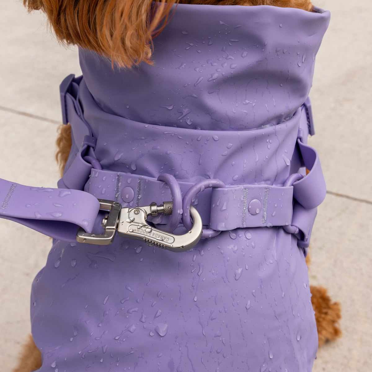 Harness Raincoat