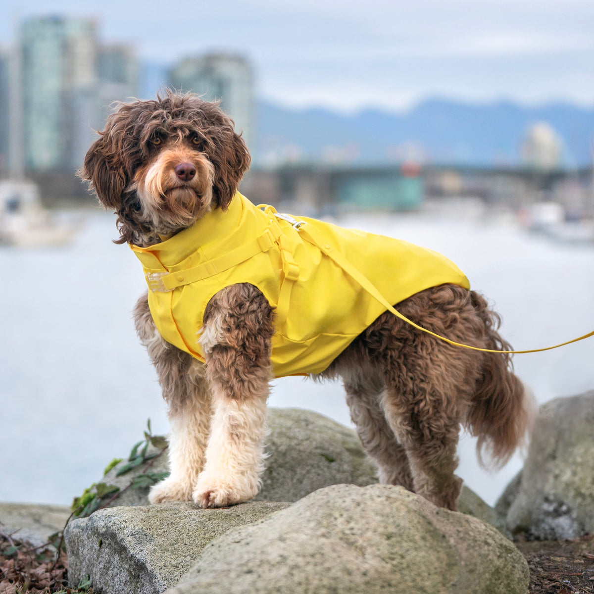 Harness Raincoat