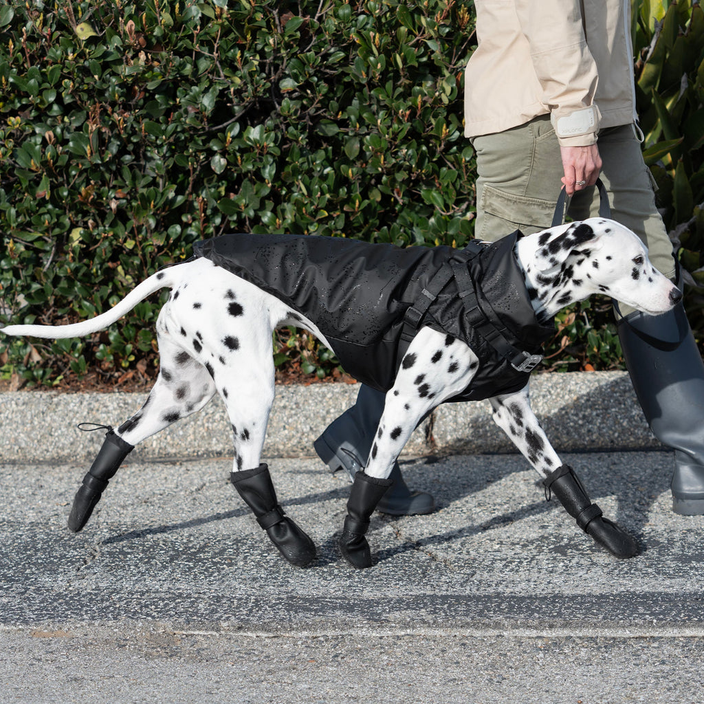 Harness Raincoat