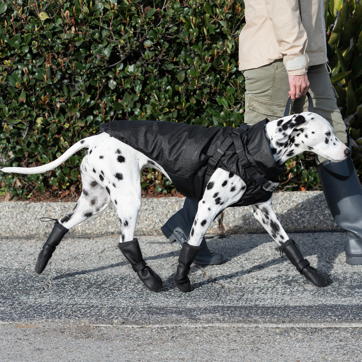 Harness Raincoat