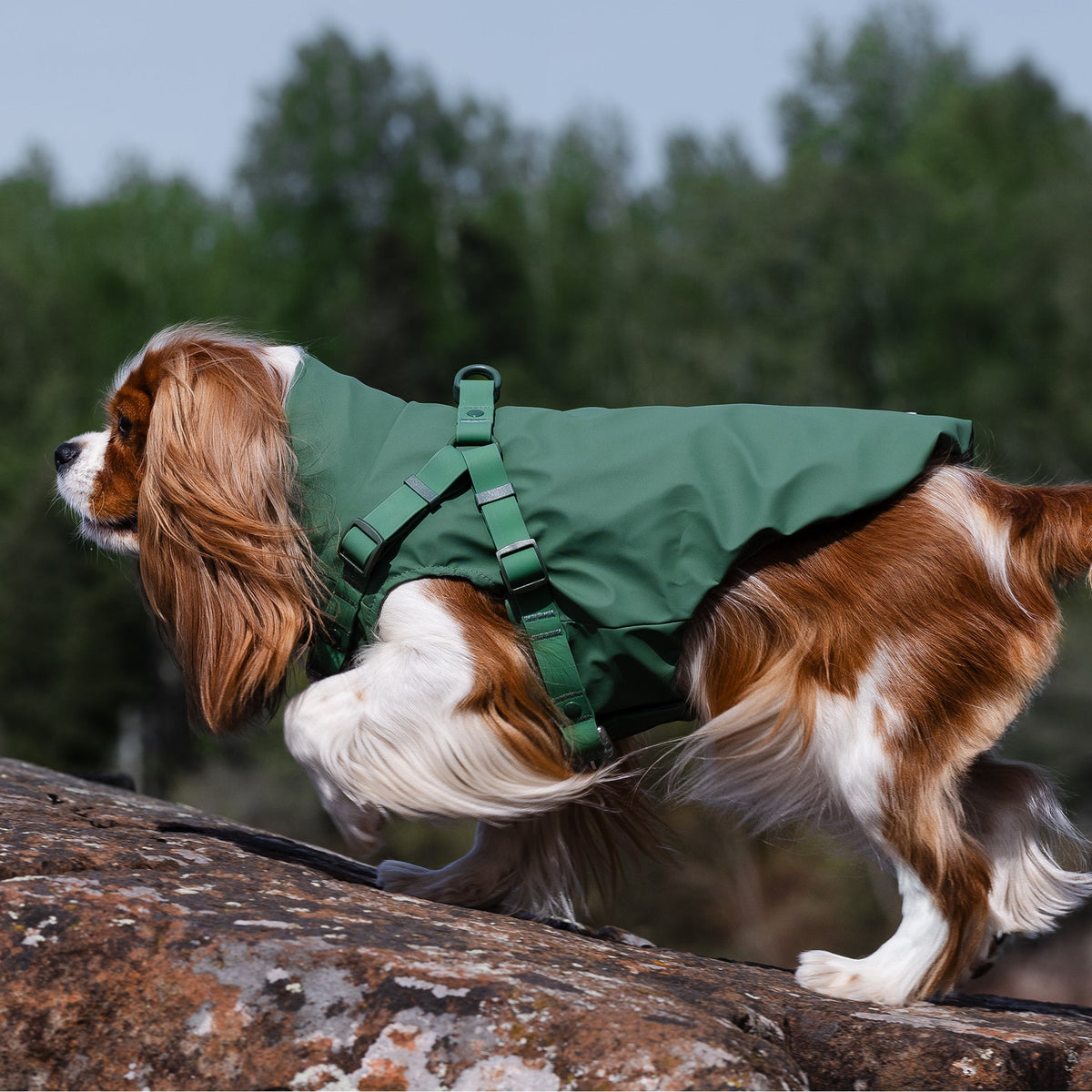 Harness Raincoat