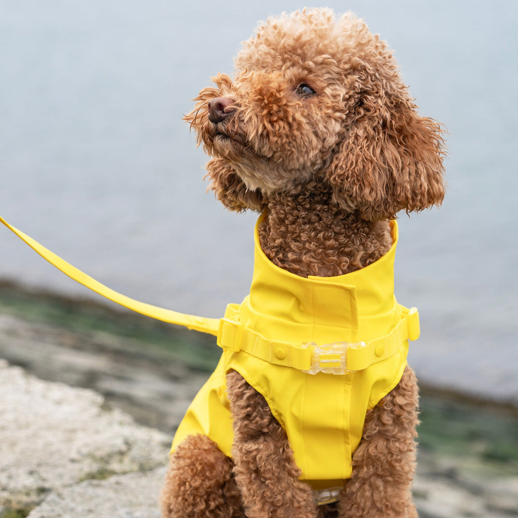Harness Raincoat