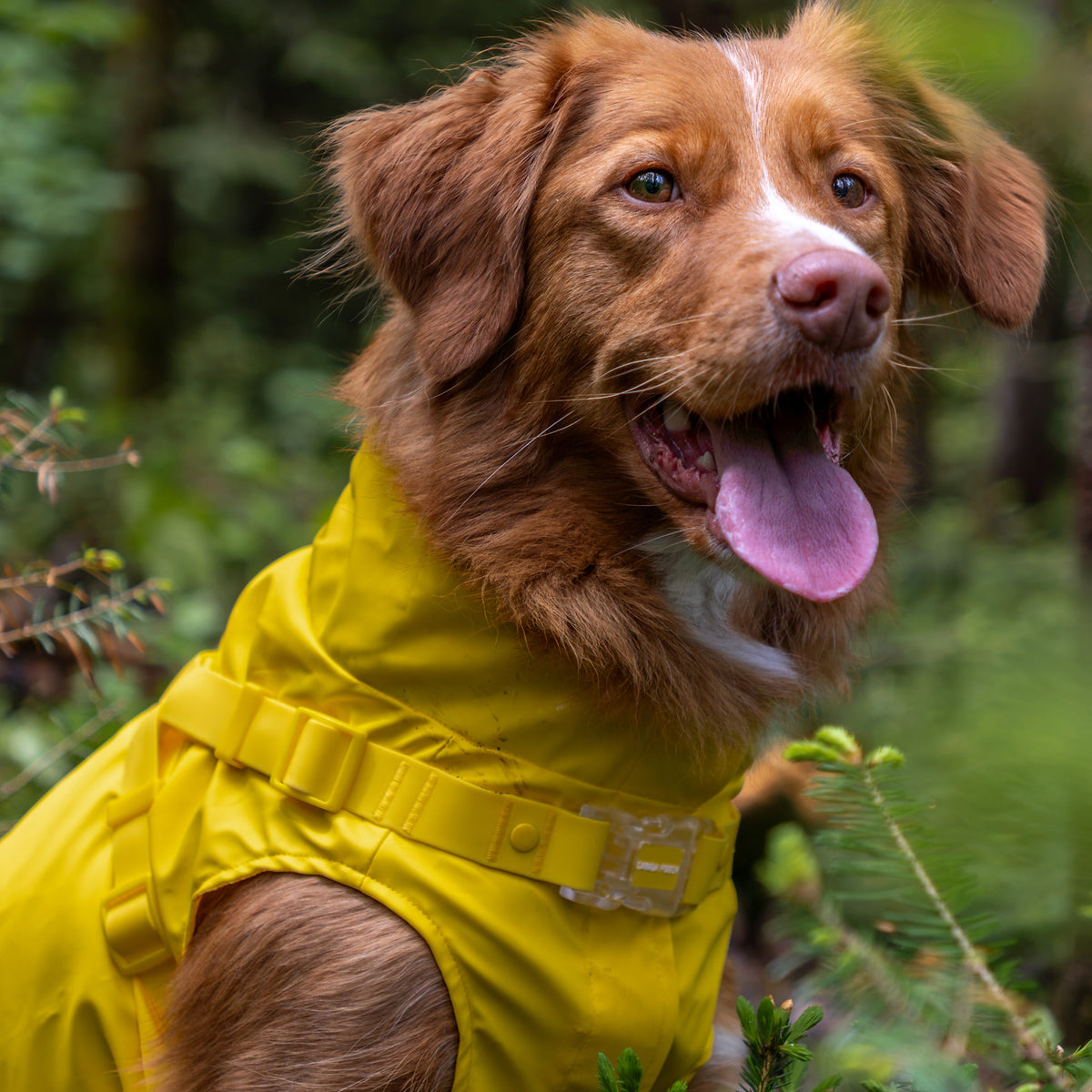 Harness Raincoat