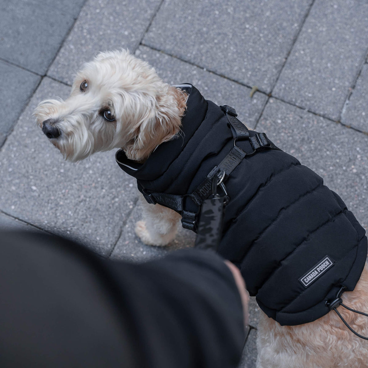Harness Puffer