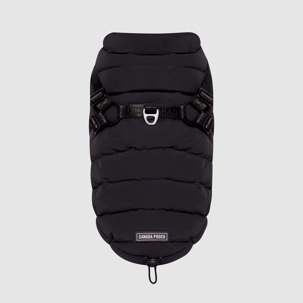 Harness Puffer