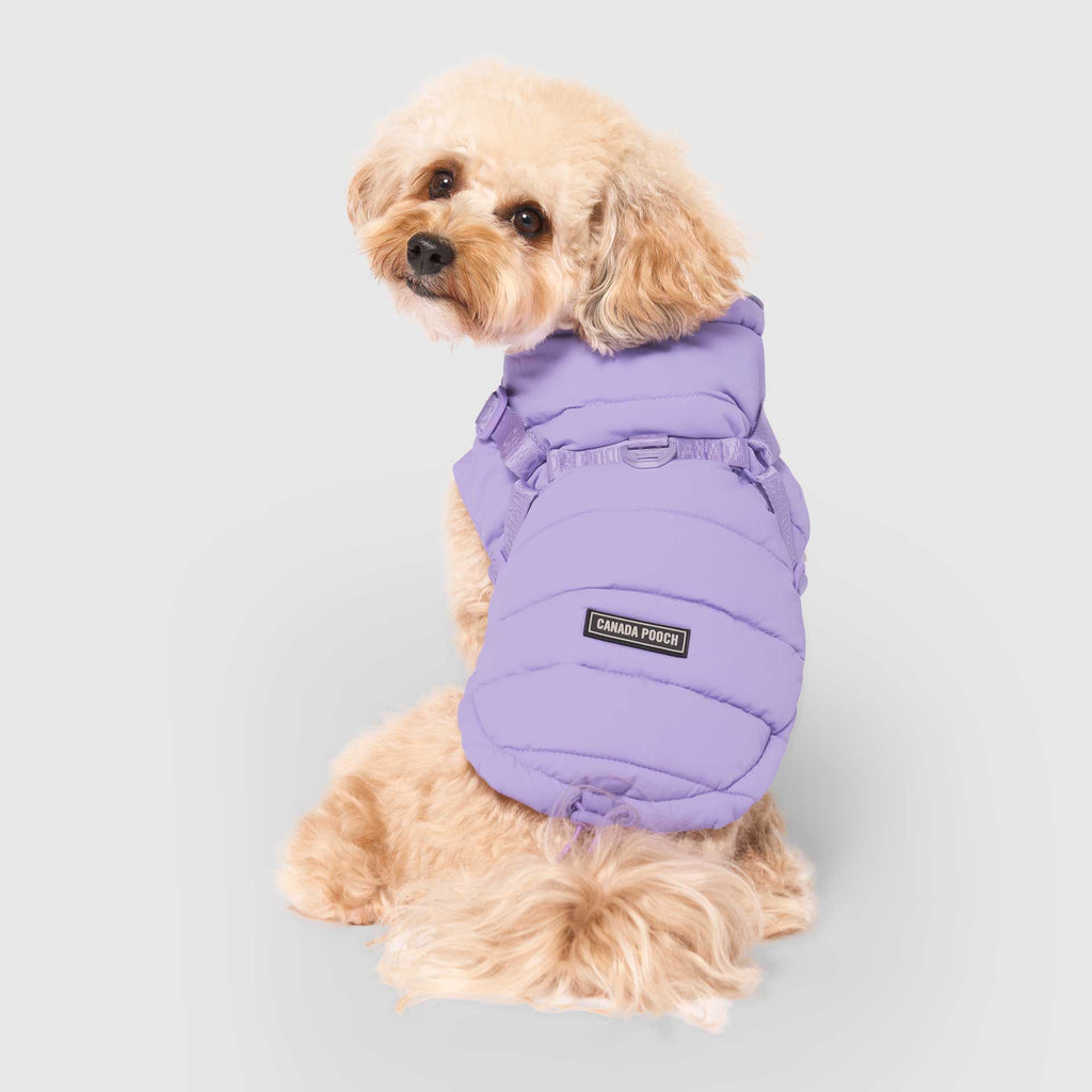 Harness Puffer