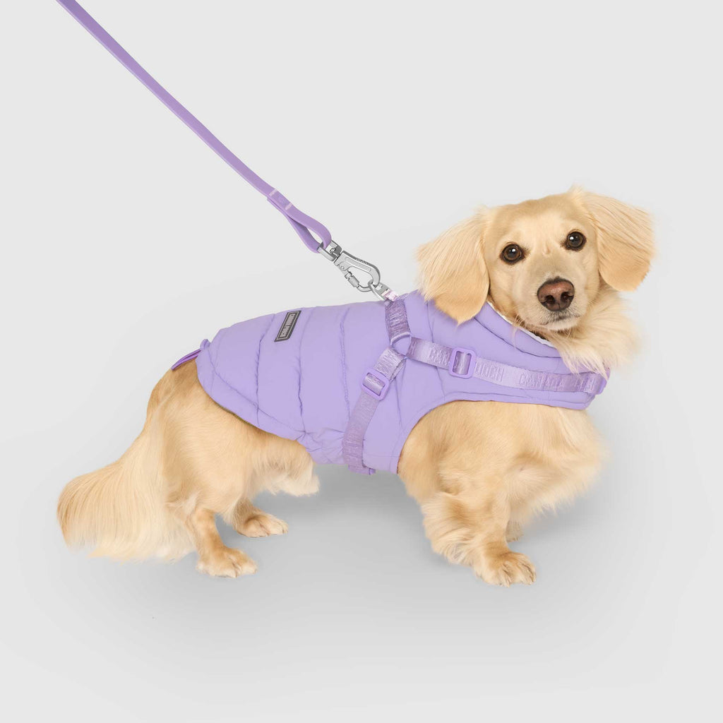 Harness Puffer