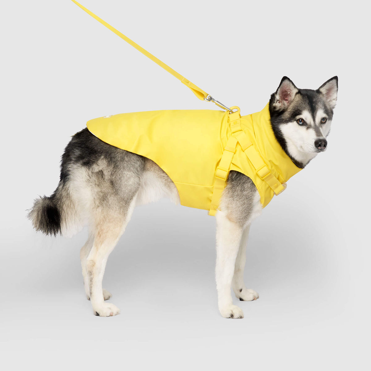 Harness Raincoat