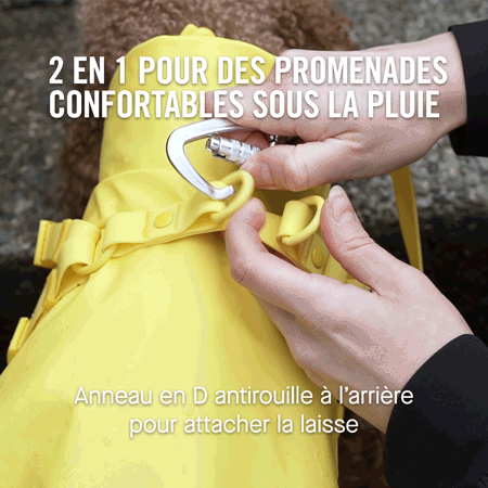 Harness Raincoat