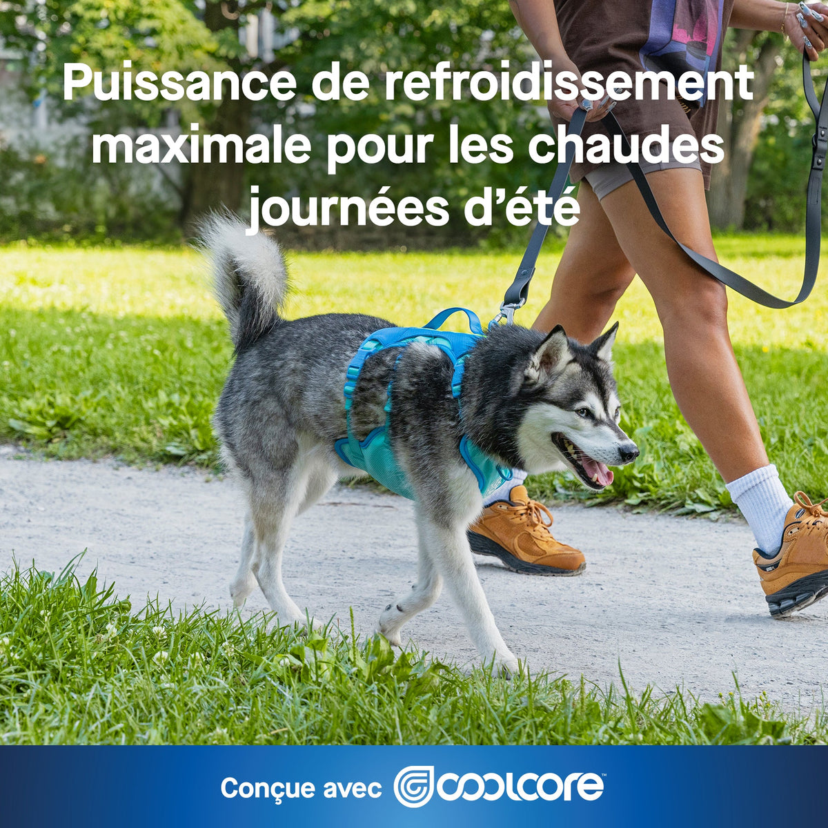 Max Chill Cooling Harness