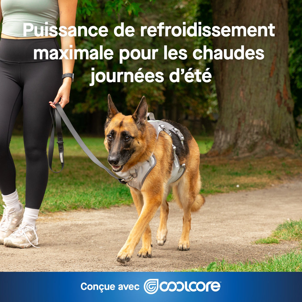Max Chill Cooling Harness