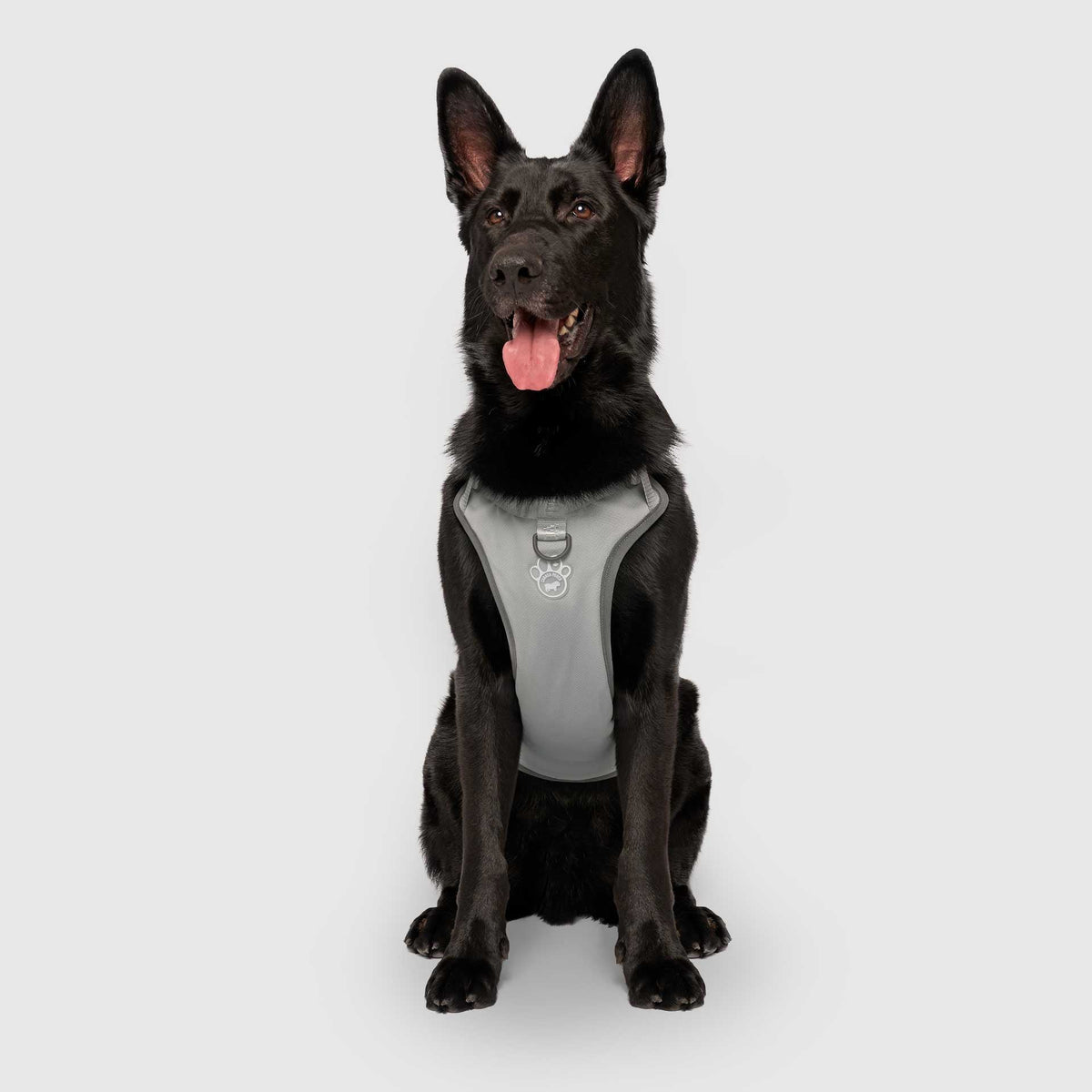 Max Chill Cooling Harness