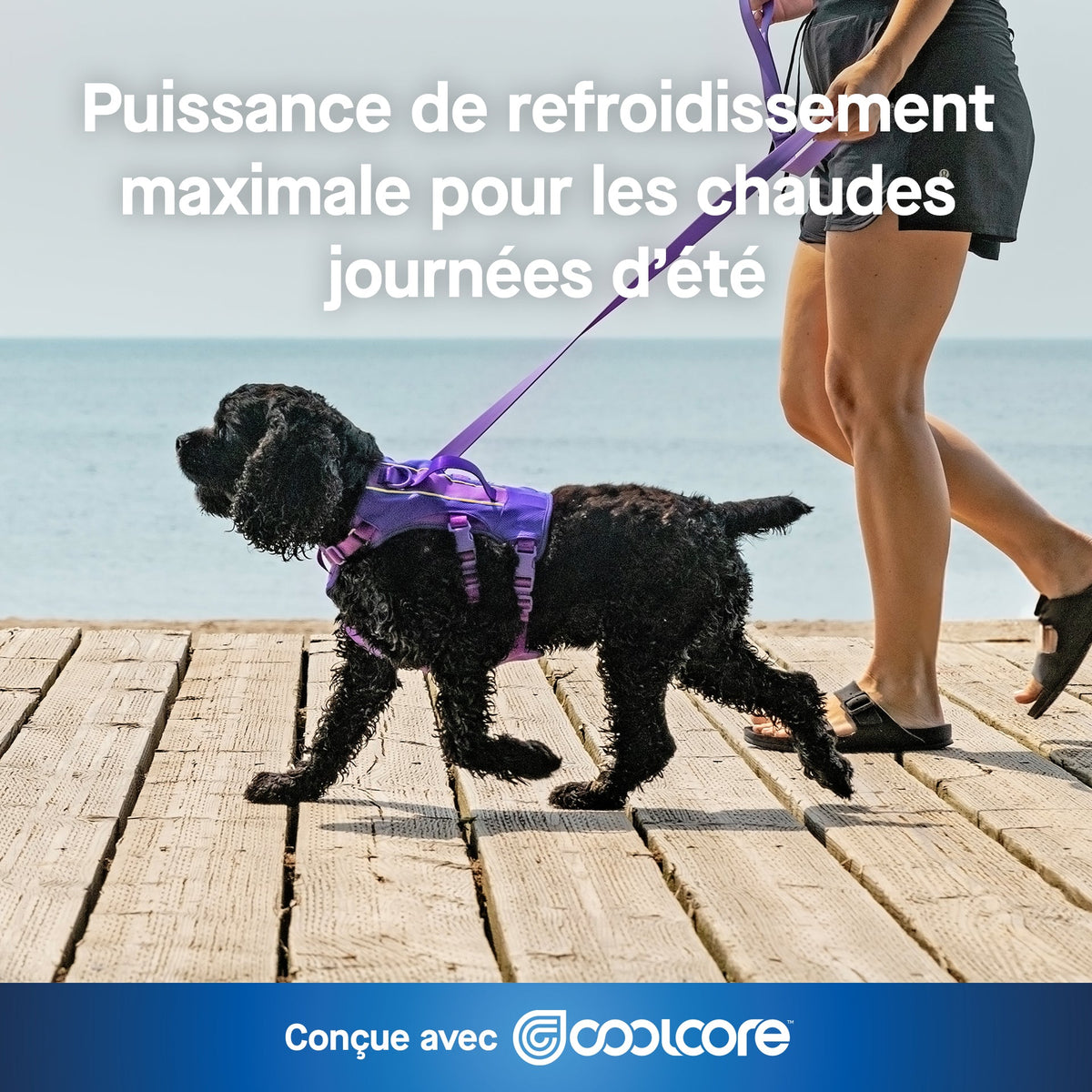 Max Chill Cooling Harness