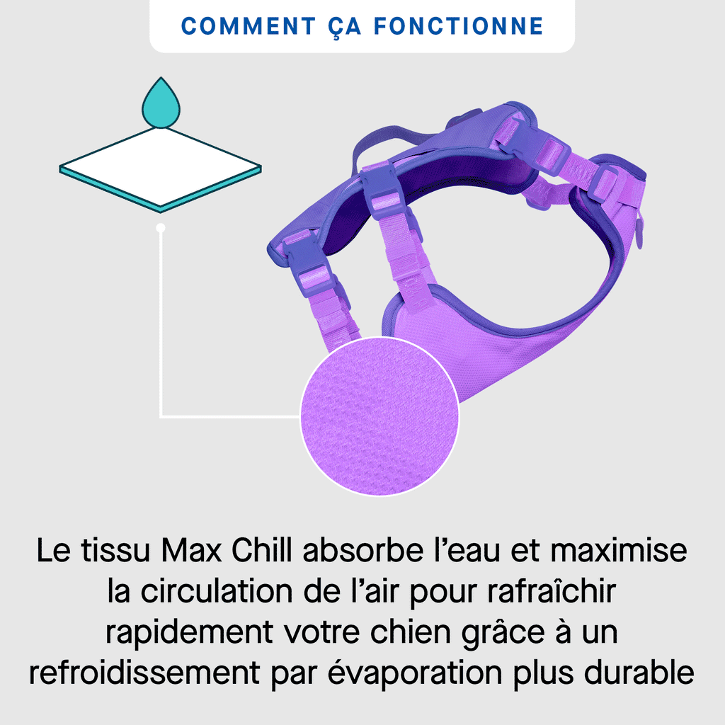 Max Chill Cooling Harness