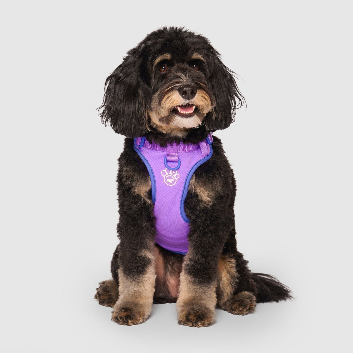 Max Chill Cooling Harness