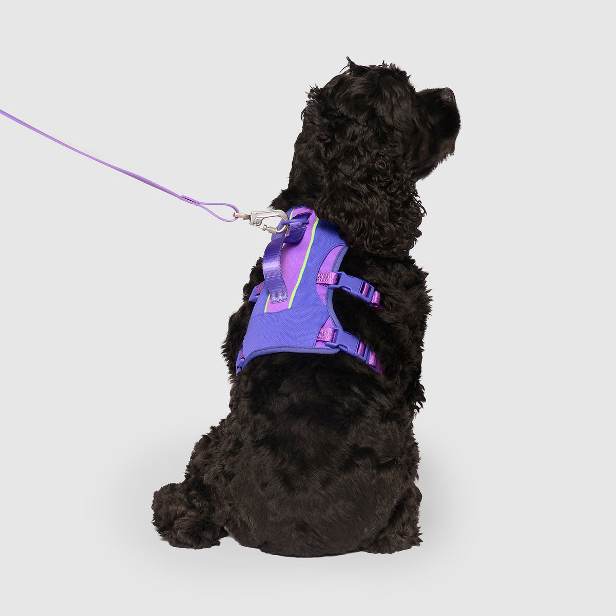 Max Chill Cooling Harness